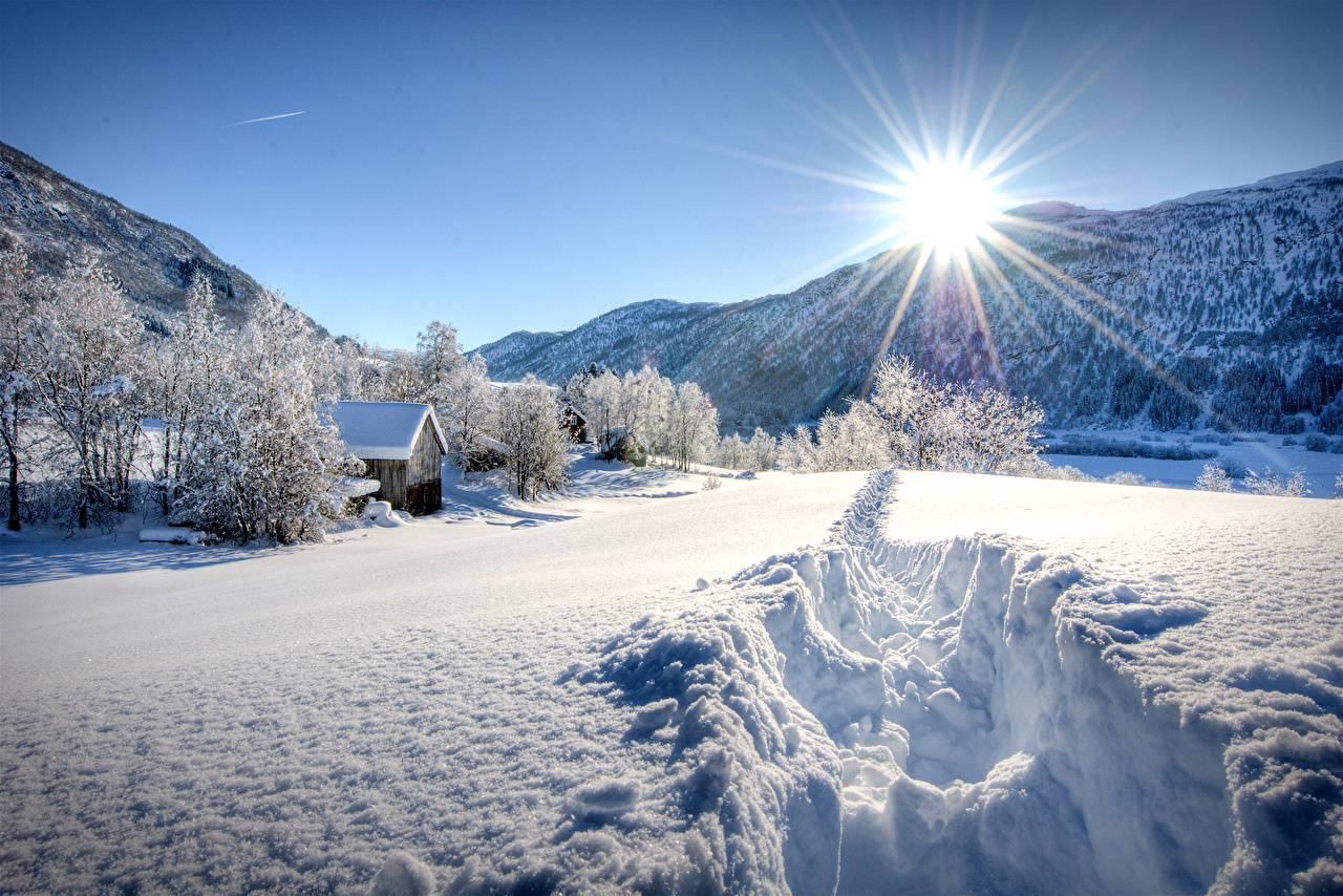 image Rays of light Sun Winter Nature Mountains Snow Trees Seasons