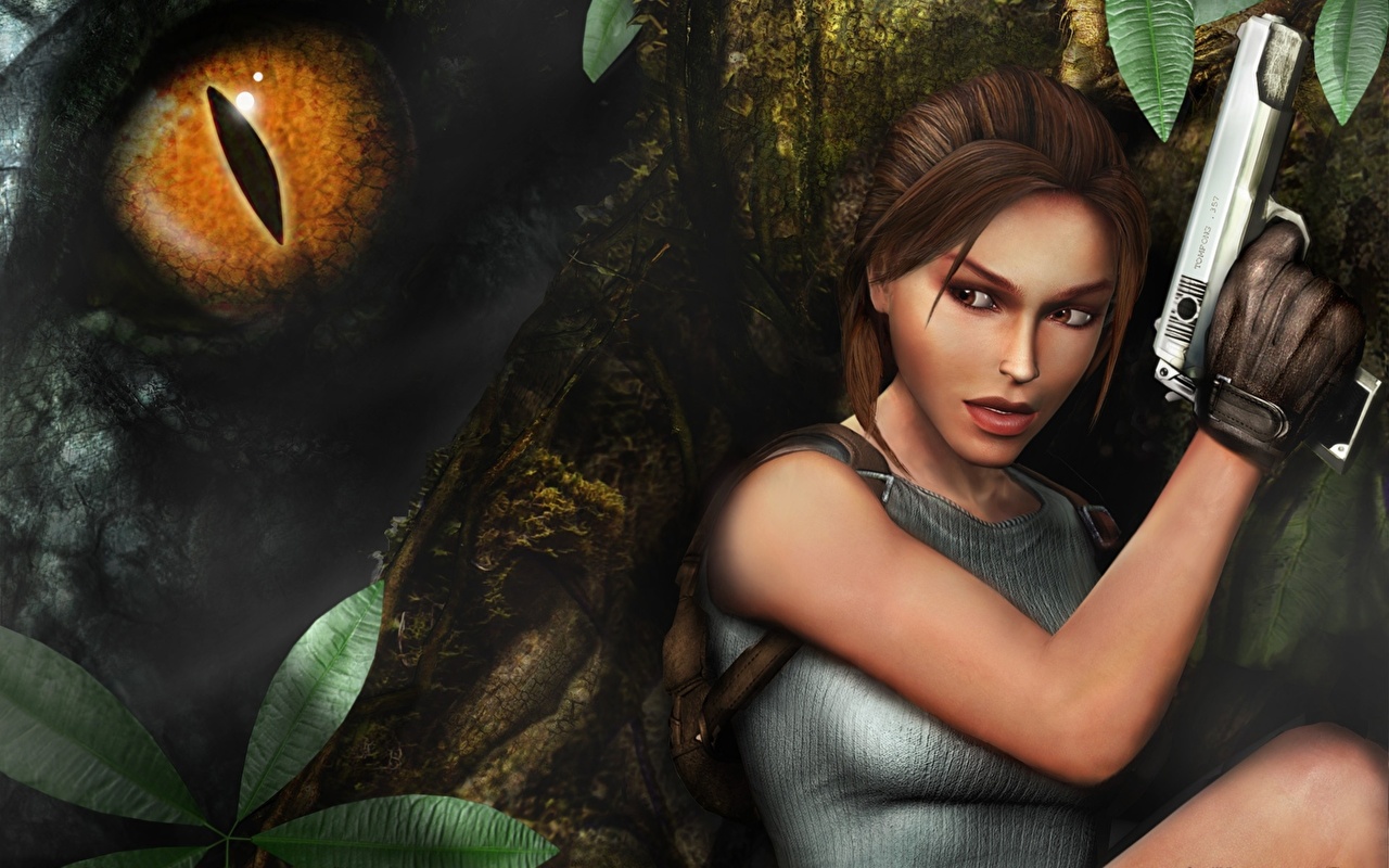 Image Tomb Raider Tomb Raider Anniversary Lara Croft vdeo game