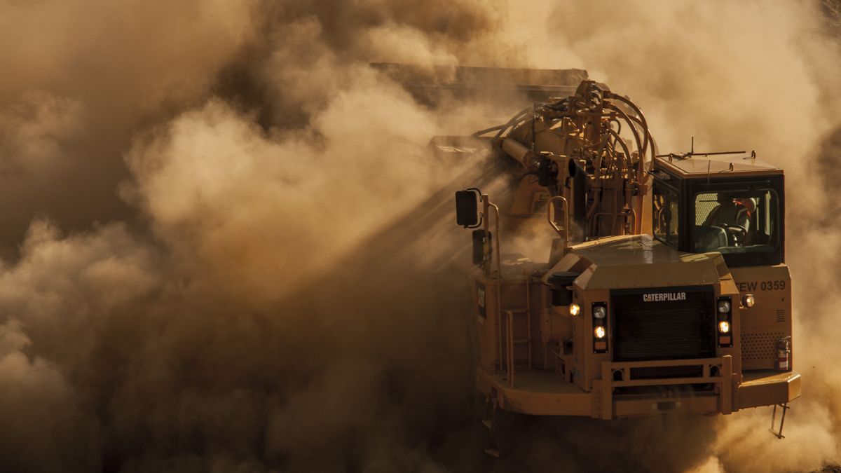 Caterpillar Wallpaper & Virtual Background