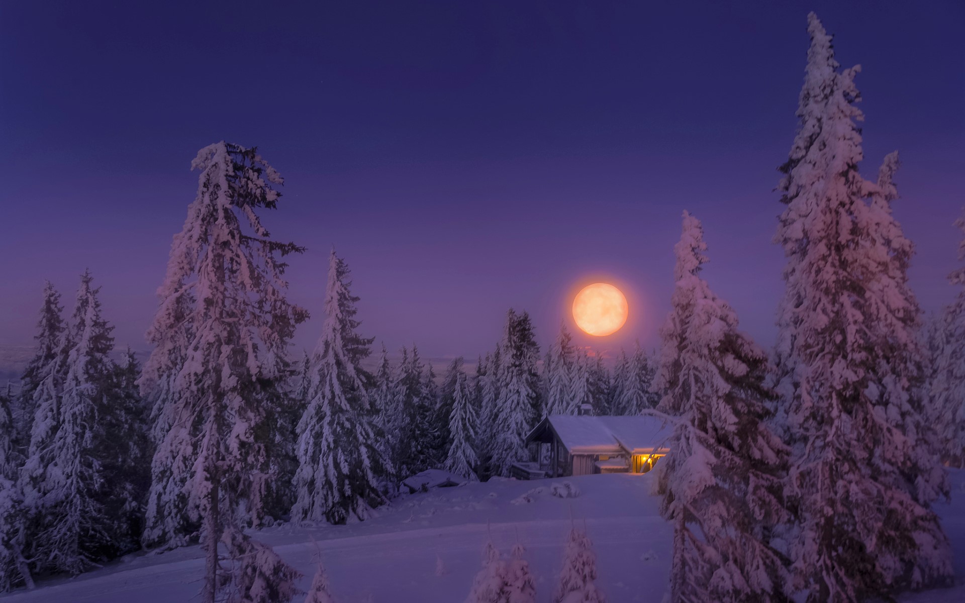 Moon, Winter, House, Night, Snow, Earth wallpaper