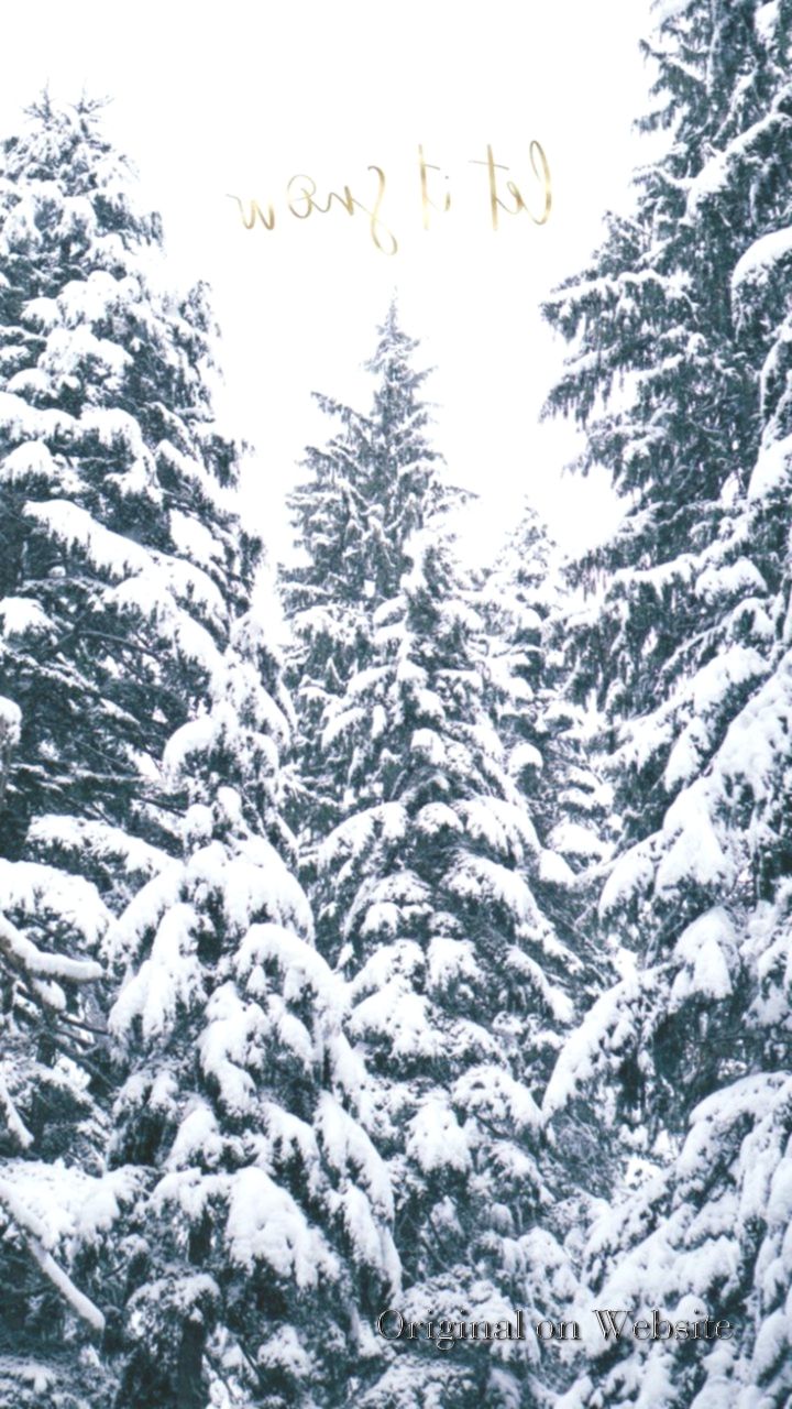 Winter Aesthetic Phone Wallpaper