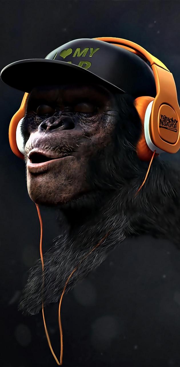 Monkey Swag HEAR wallpaper