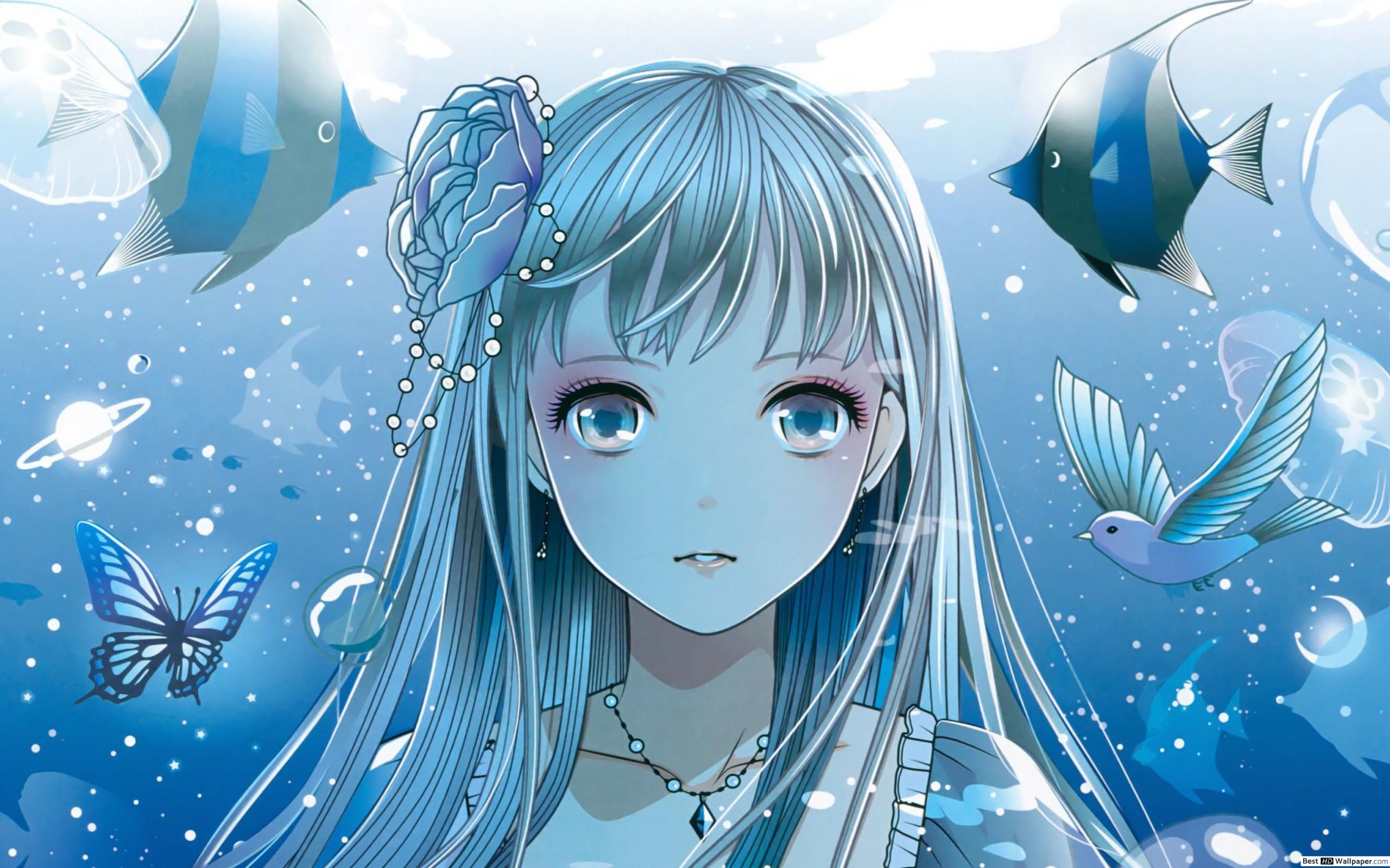 Anime profile, anime girl profile HD phone wallpaper