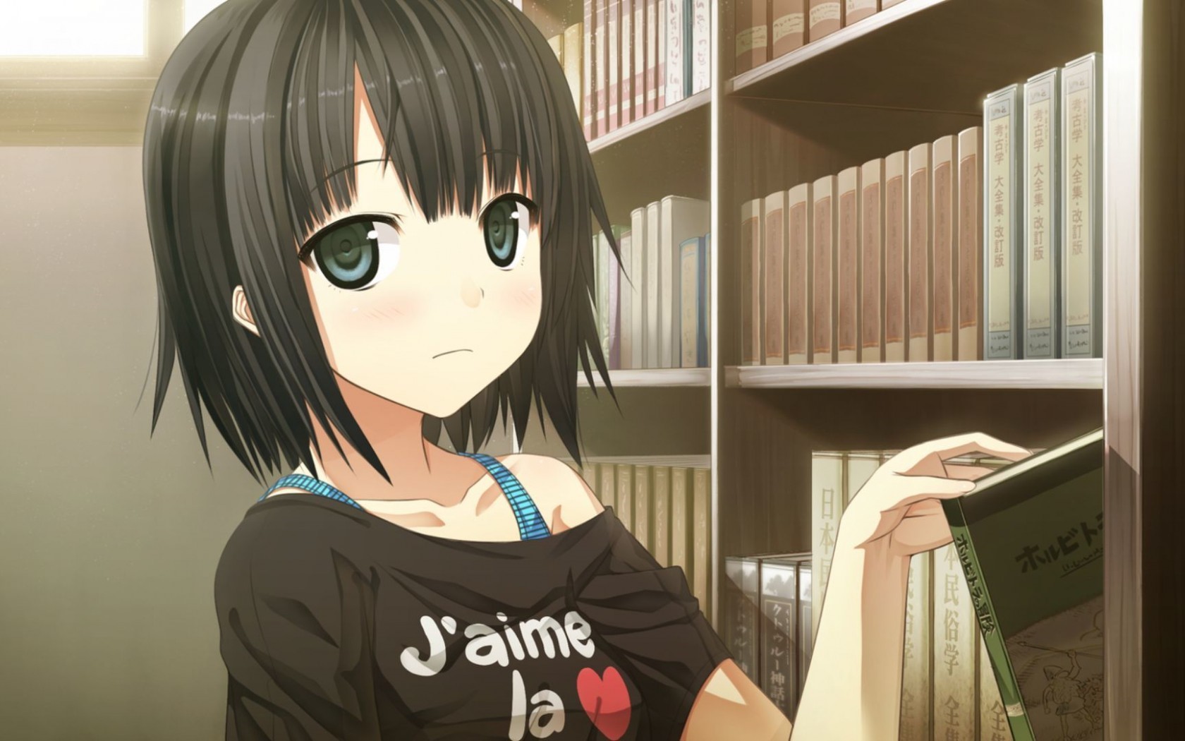 1680x1050 Anime, Girl, Shelf, Books, Study wallpaper JPG