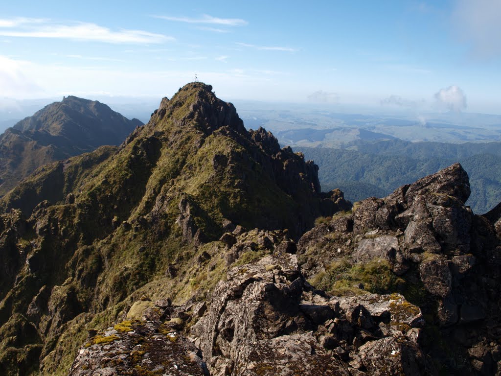 Summit Ridge towards Mt Hikurangi