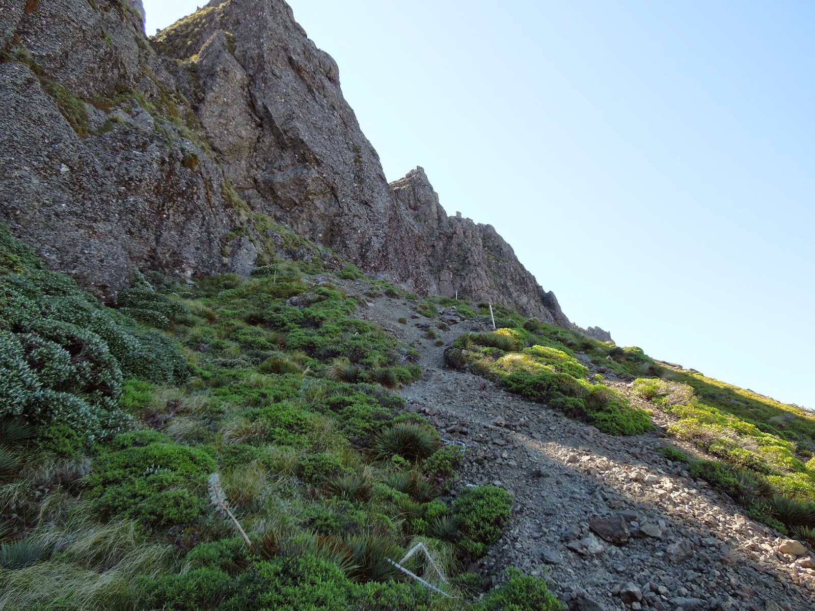 A Welcome Sight: Mt Hikurangi, January 2013