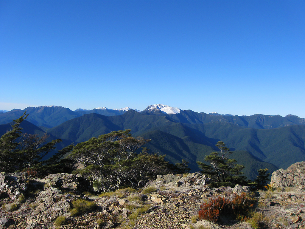 Mount Richmond Forest Park