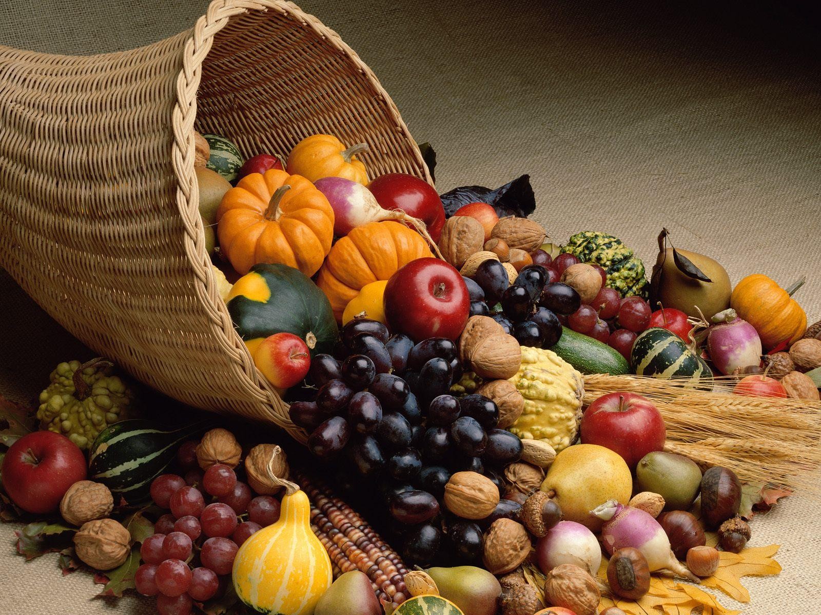 vegetables, Autumn, season, Fruits, Food, Thanksgiving, Cornucopia Wallpaper HD / Desktop and Mobile Background