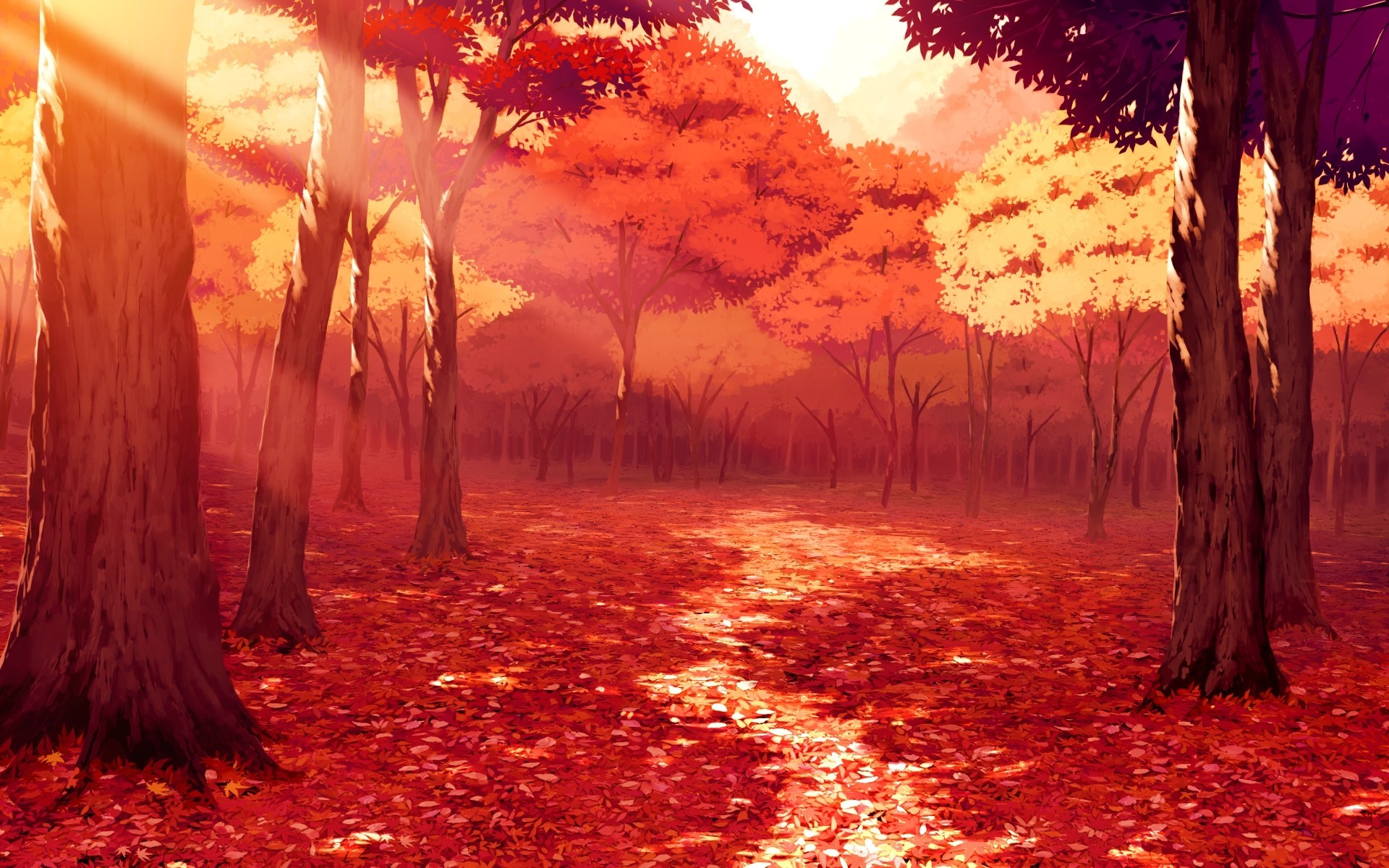 Wallpaper, sunlight, landscape, drawing, fall, leaves, anime, nature, grass, artwork, branch, sunrise, evening, tree, autumn, leaf, dawn, 1920x1200 px, woodland, computer wallpaper, afterglow, geological phenomenon, red sky at morning, temperate broadleaf
