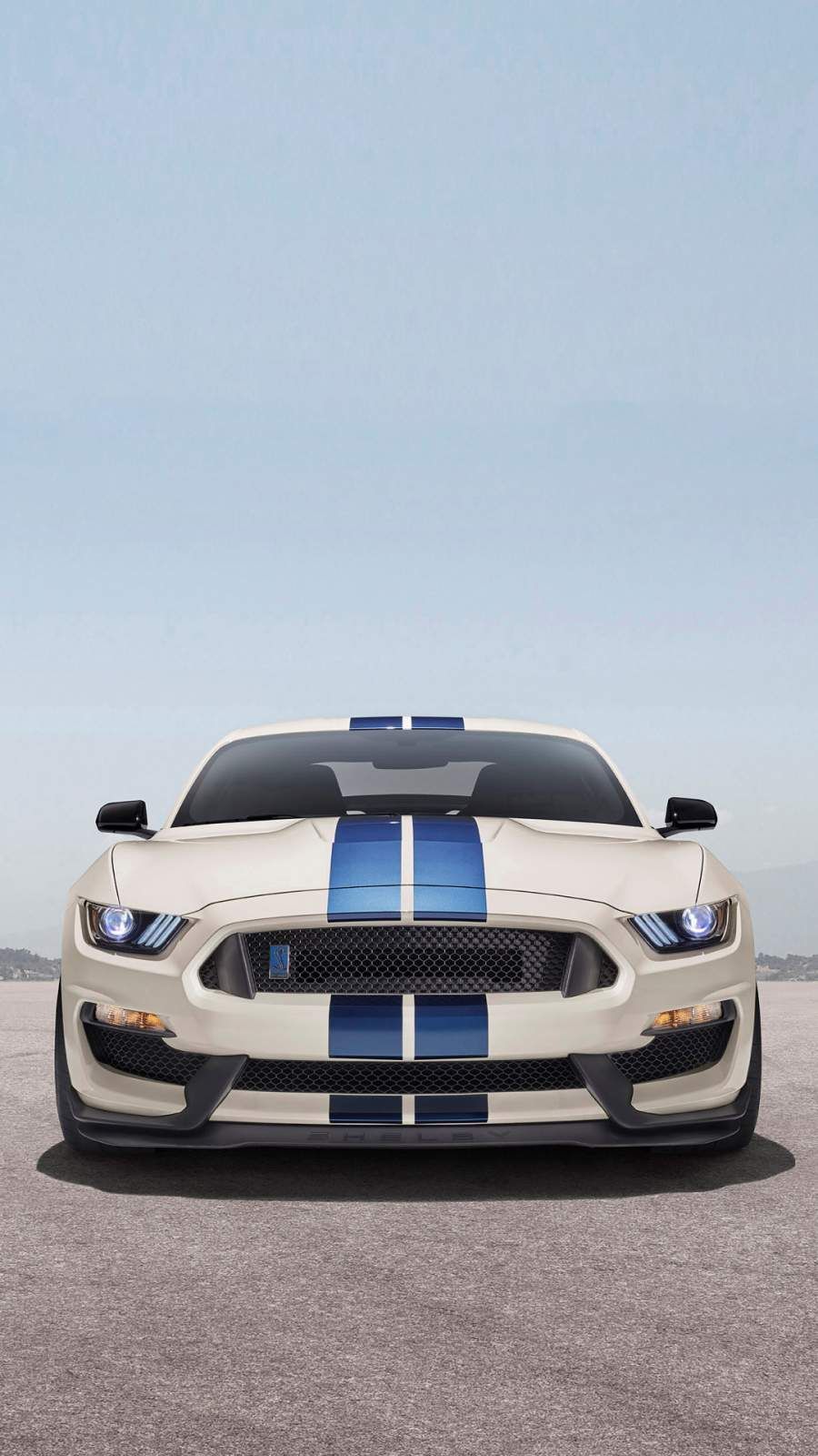 Shelby iPhone Wallpaper Free Shelby iPhone Background