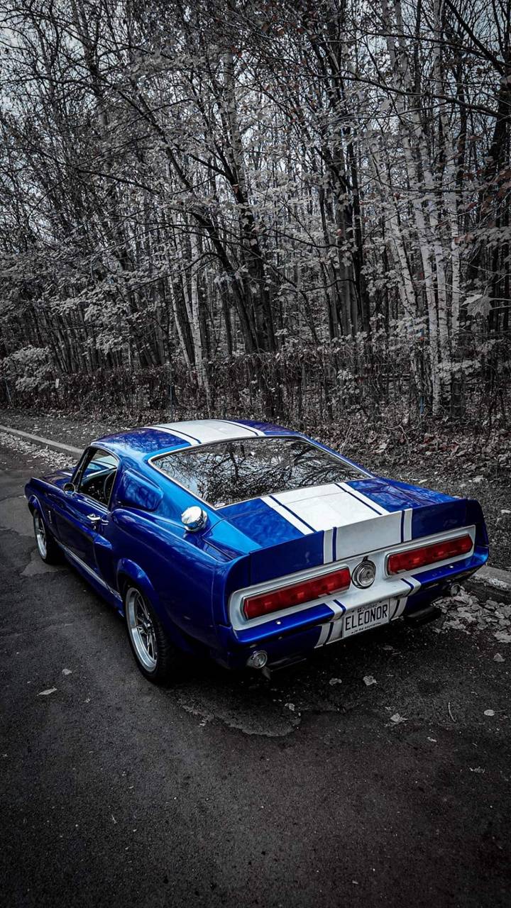 Shelby Gt500 Wallpaper