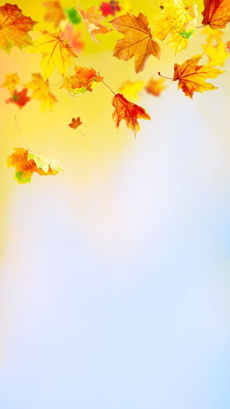 iPhone Wallpaper To Fall In Love With Autumn. Preppy Wallpaper. Fall wallpaper, iPhone wallpaper fall, Preppy wallpaper