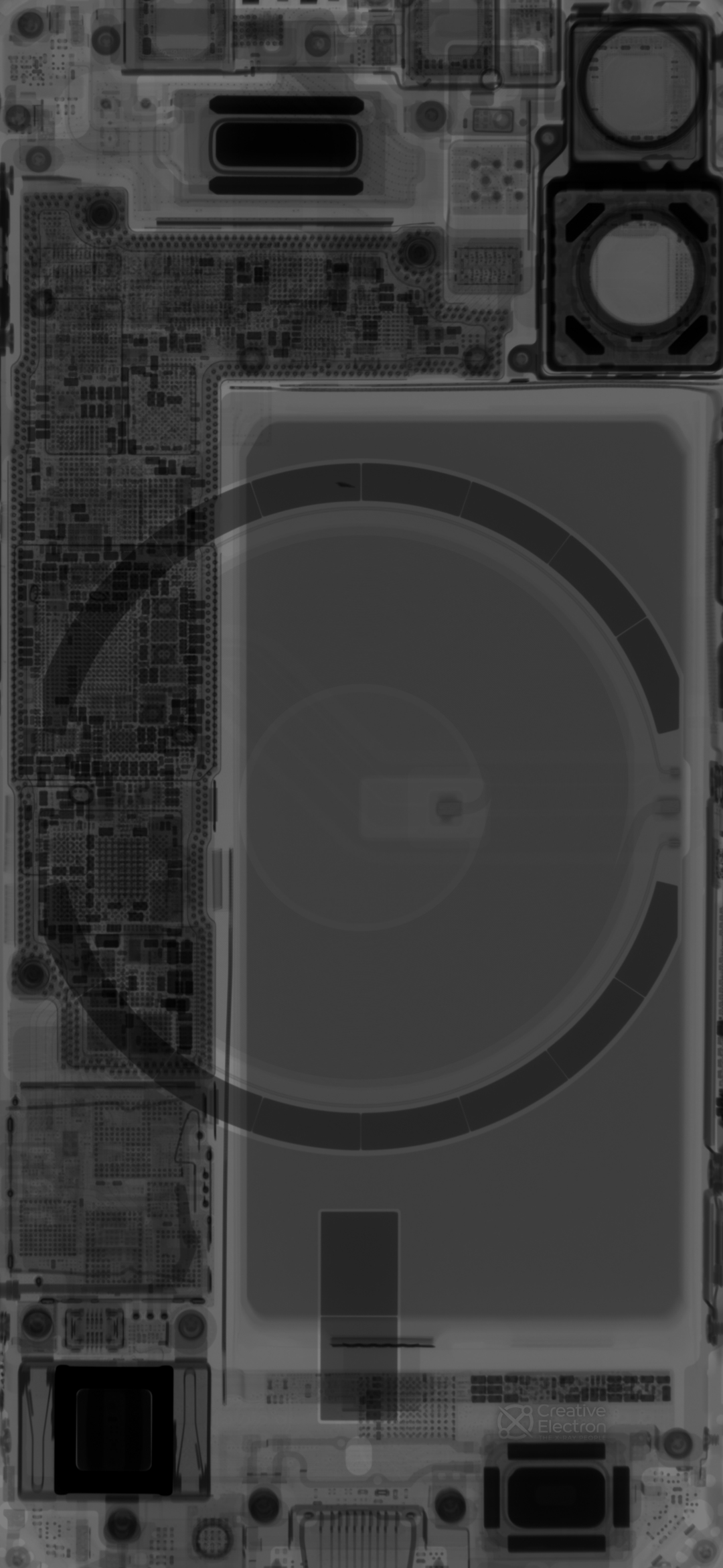 iPhone 12 mini and Pro Max Teardown Wallpaper