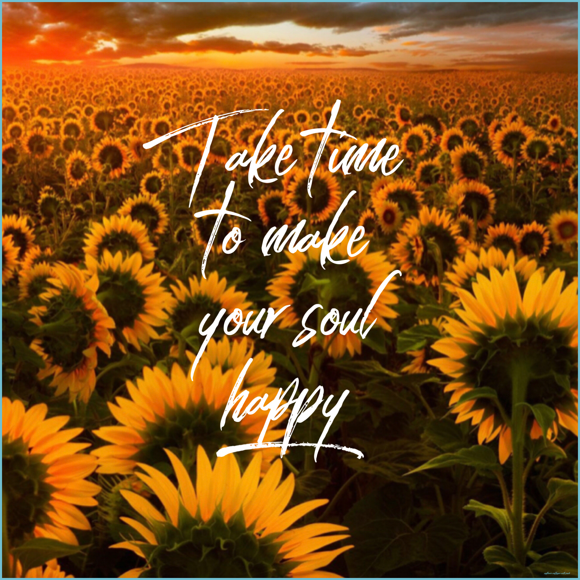 Sunflower Quotes Wallpaper Free Sunflower Quotes Wallpaper With Quote