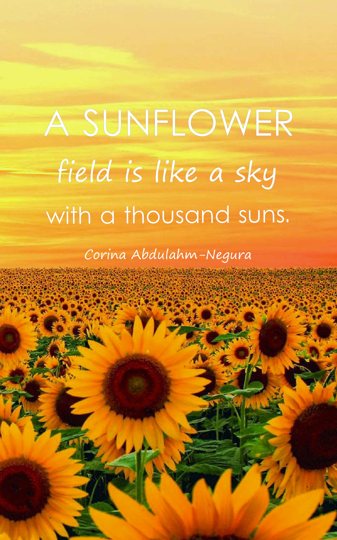 Beautiful Sunflower Quotes with Image