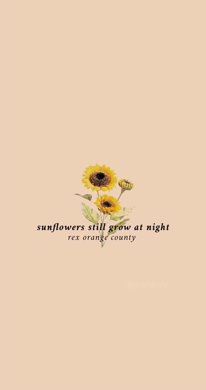 Sunflower Aesthetic Wallpaper