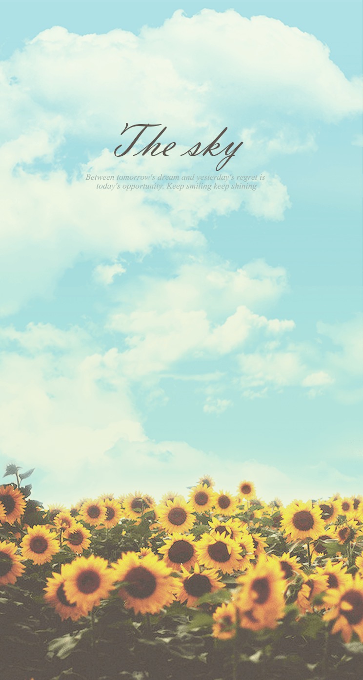 Download iPhone 6 Wallpaper Quotes Sunflower Wallpaper iPhone