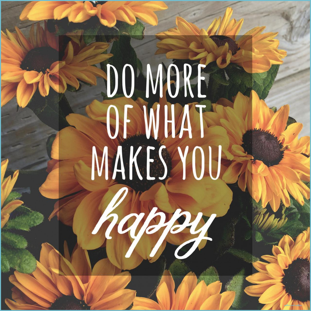Sunflower Wallpaper Tumblr With Floral Background Quote Wallpaper