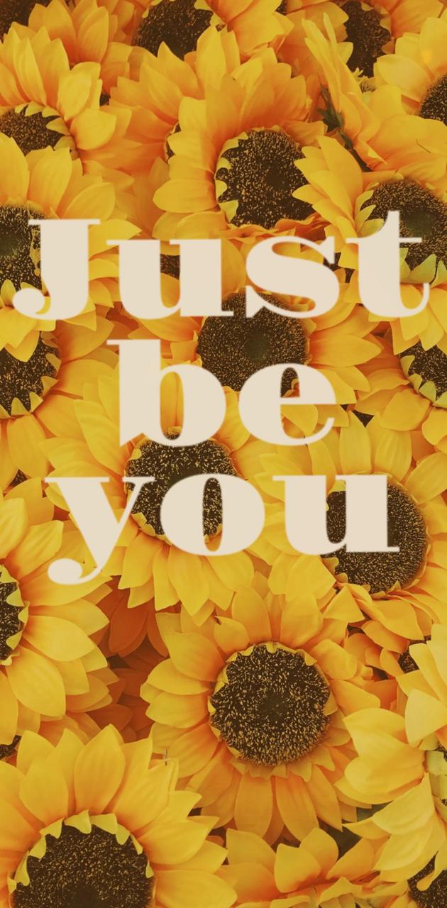 Sunflowers With Quotes Wallpapers Wallpaper Cave 8910