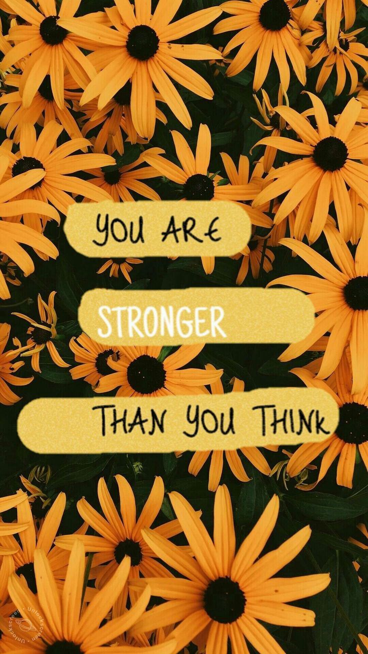 Você é mais forte do que pensa. Wallpaper quotes, Sunflower wallpaper, Sunflower quotes
