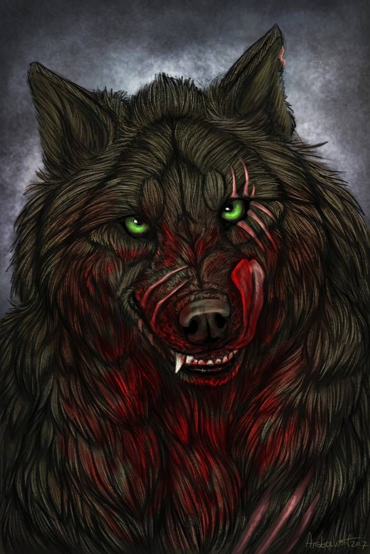 Anime Bloody Wolf 1
