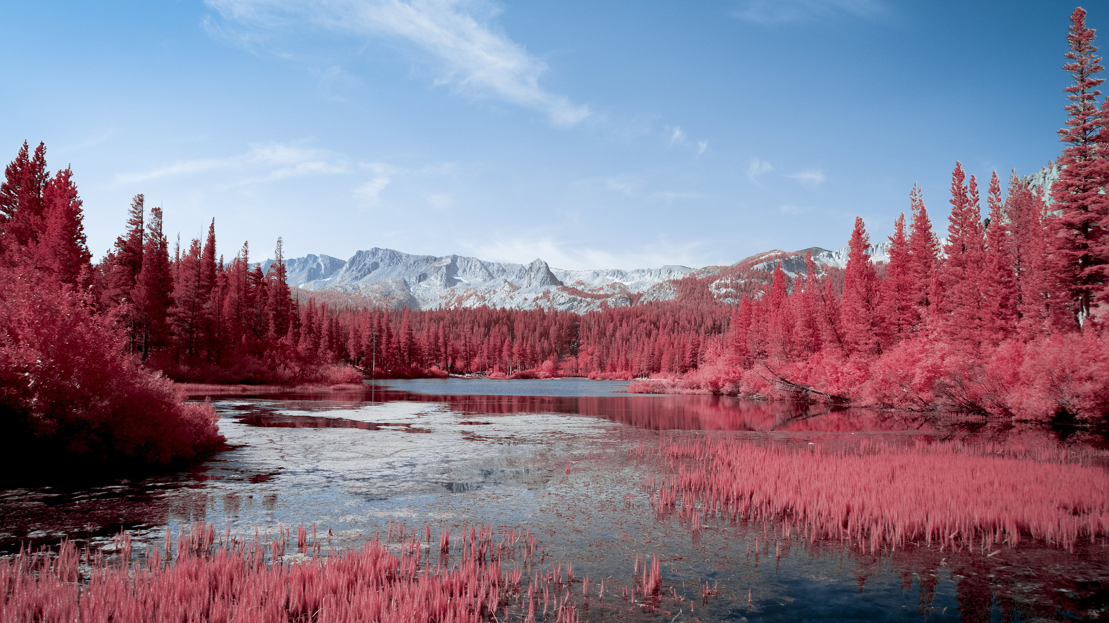 Wallpaper 4k Autumn Red Pink Trees Lake 5k Wallpaper