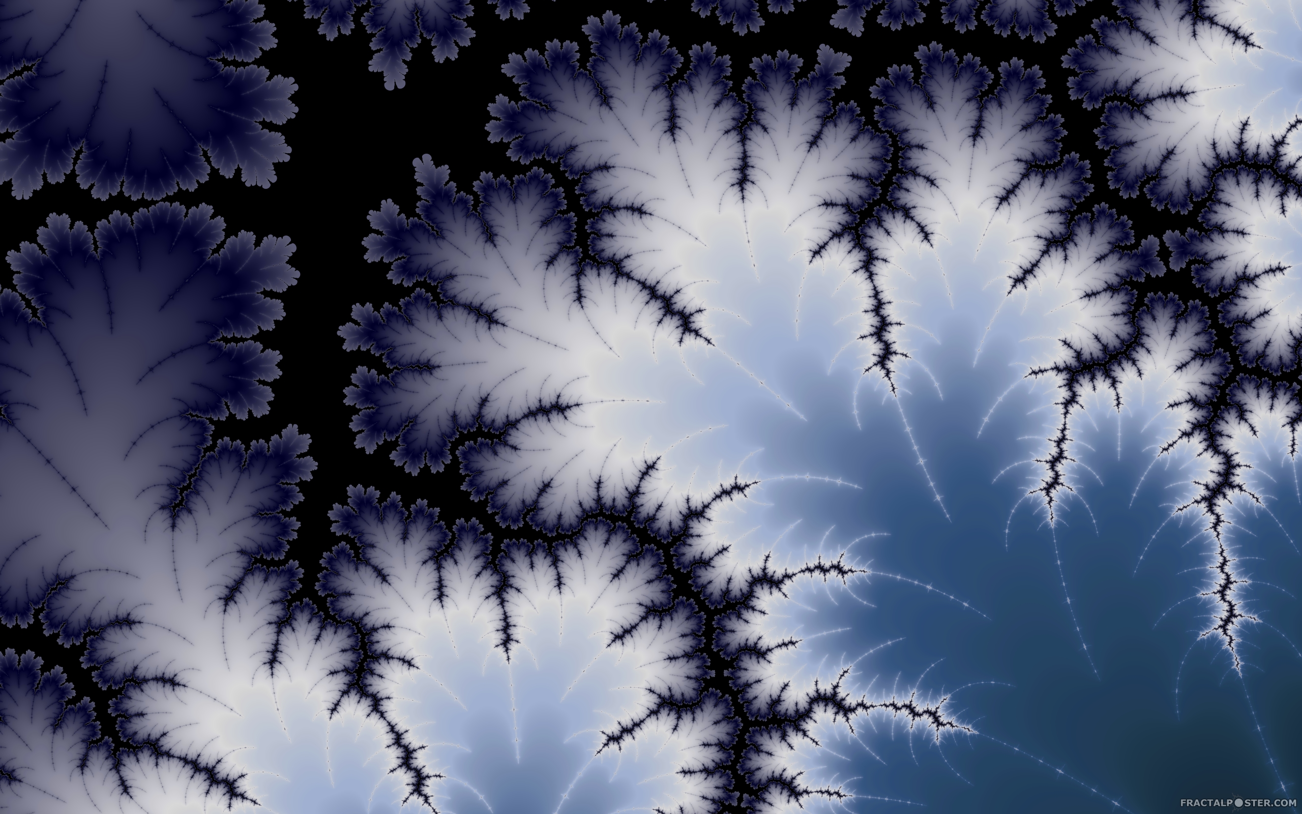 Winter leaf fractal image by fractalposter. HD Wallpaper, posters, comments and rates