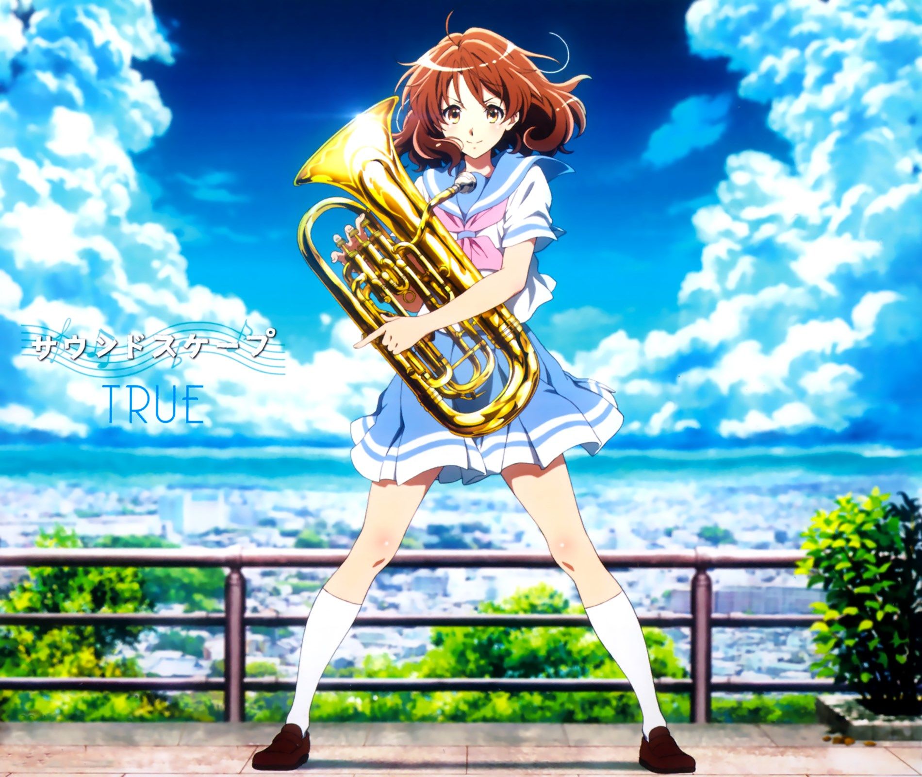 Hibike Euphonium Kumiko And Asuka Playing