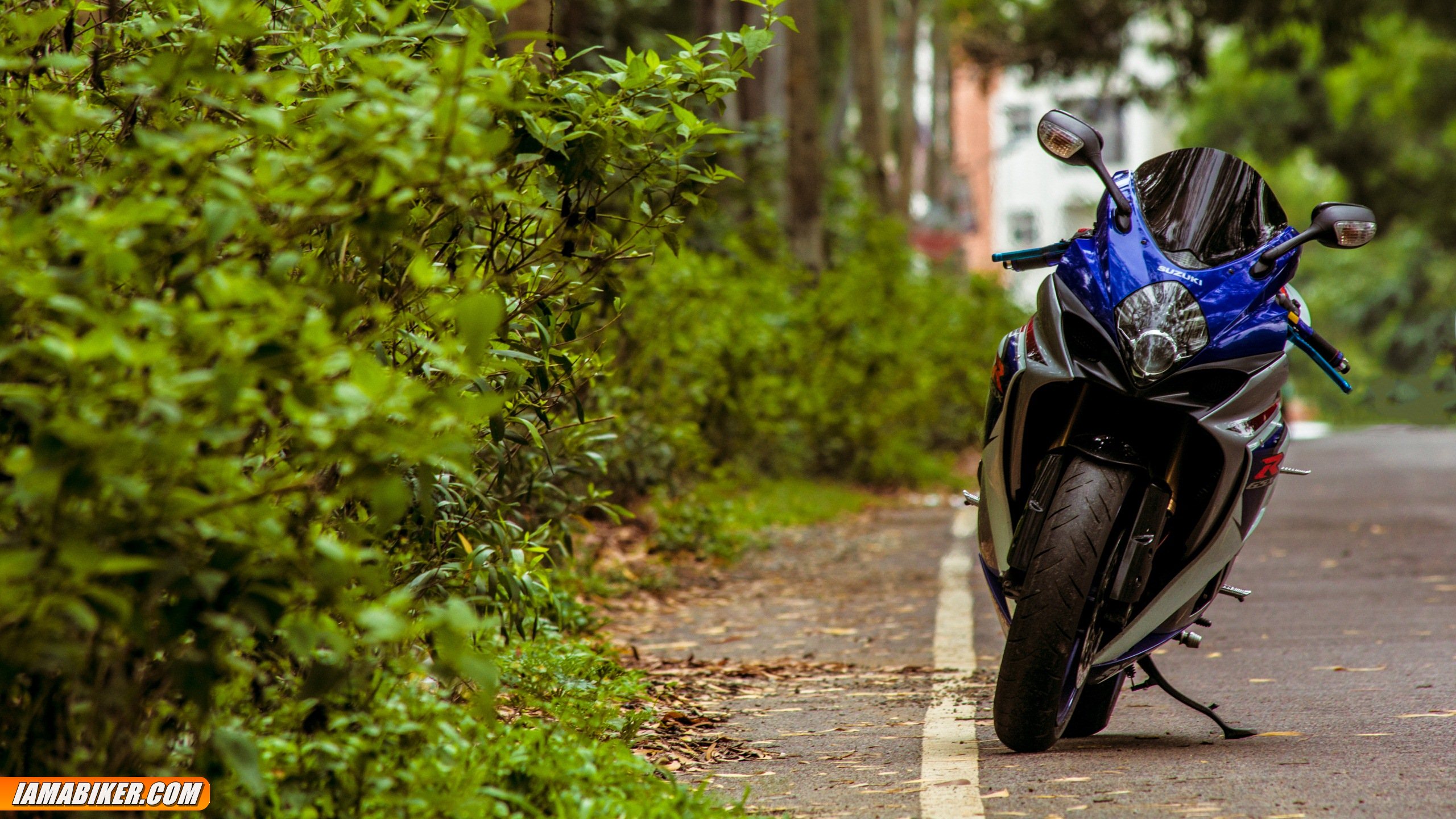 Suzuki GSX R wallper