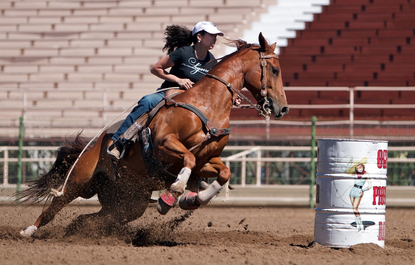 Wallpaper girl, horse, sport image for desktop, section спорт