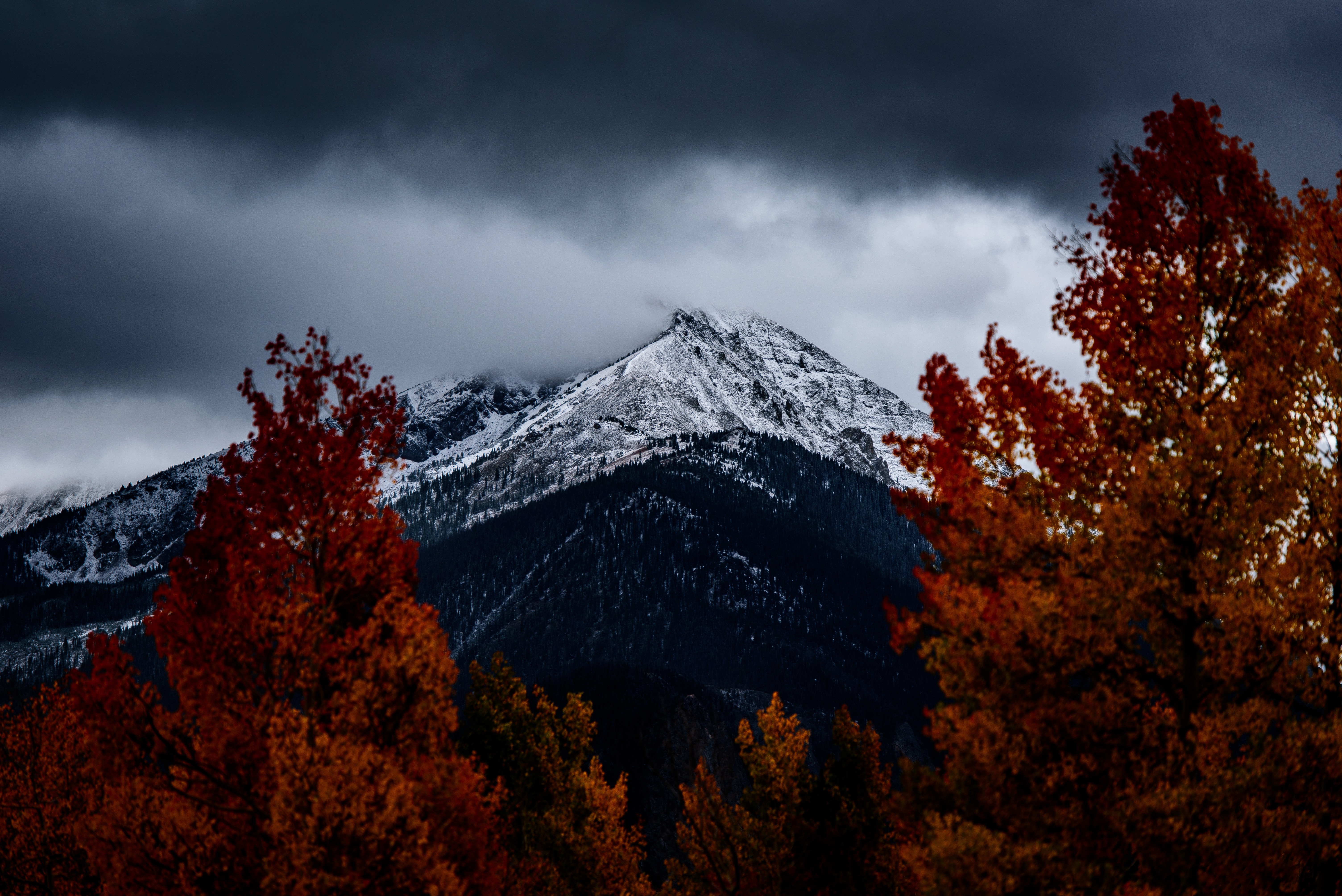 6016x4016 #white, #cloud, #tree, #through the tree, #Free picture, #mountain, #stormy, #red, #black, #cloudy, #mountain ridge, #snow, #storm, # autumn, #contrast, #fall. Mocah HD Wallpaper