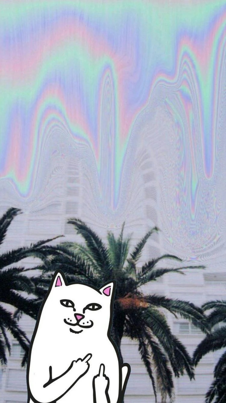 View 9 Soft Aesthetic Cute Cats Pfp