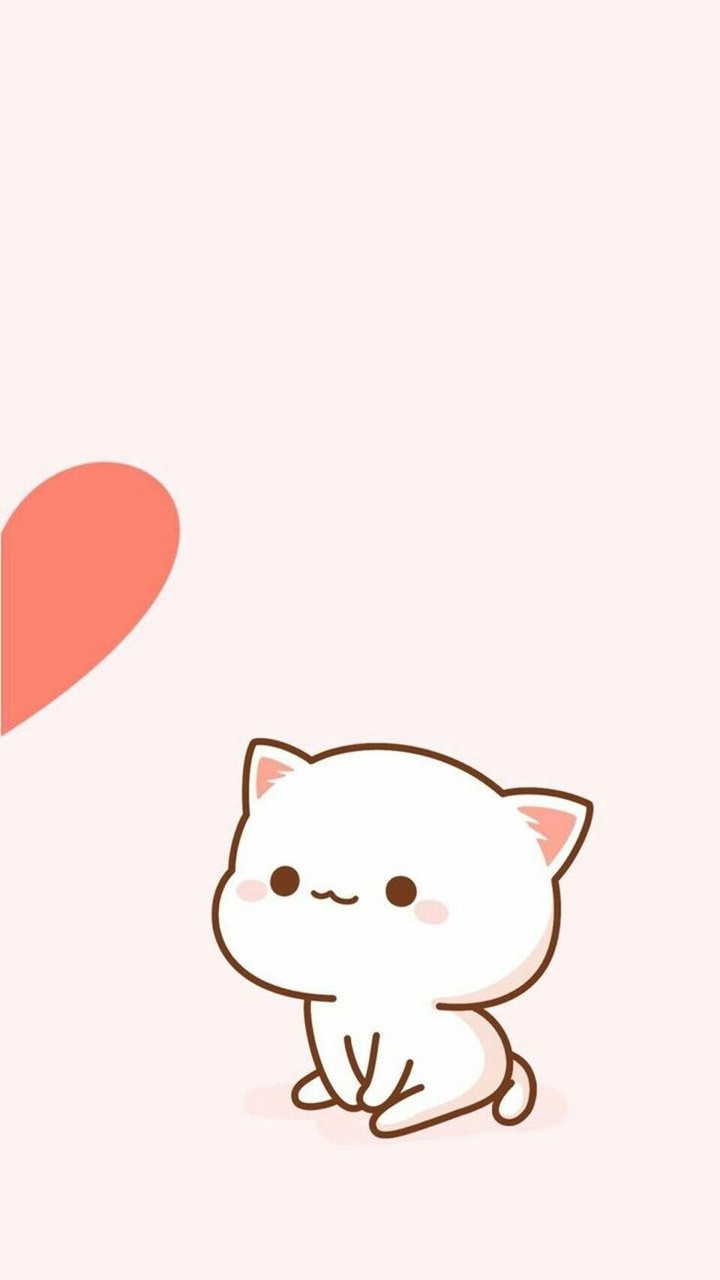 Cat PFP Cute Wallpapers - Wallpaper Cave