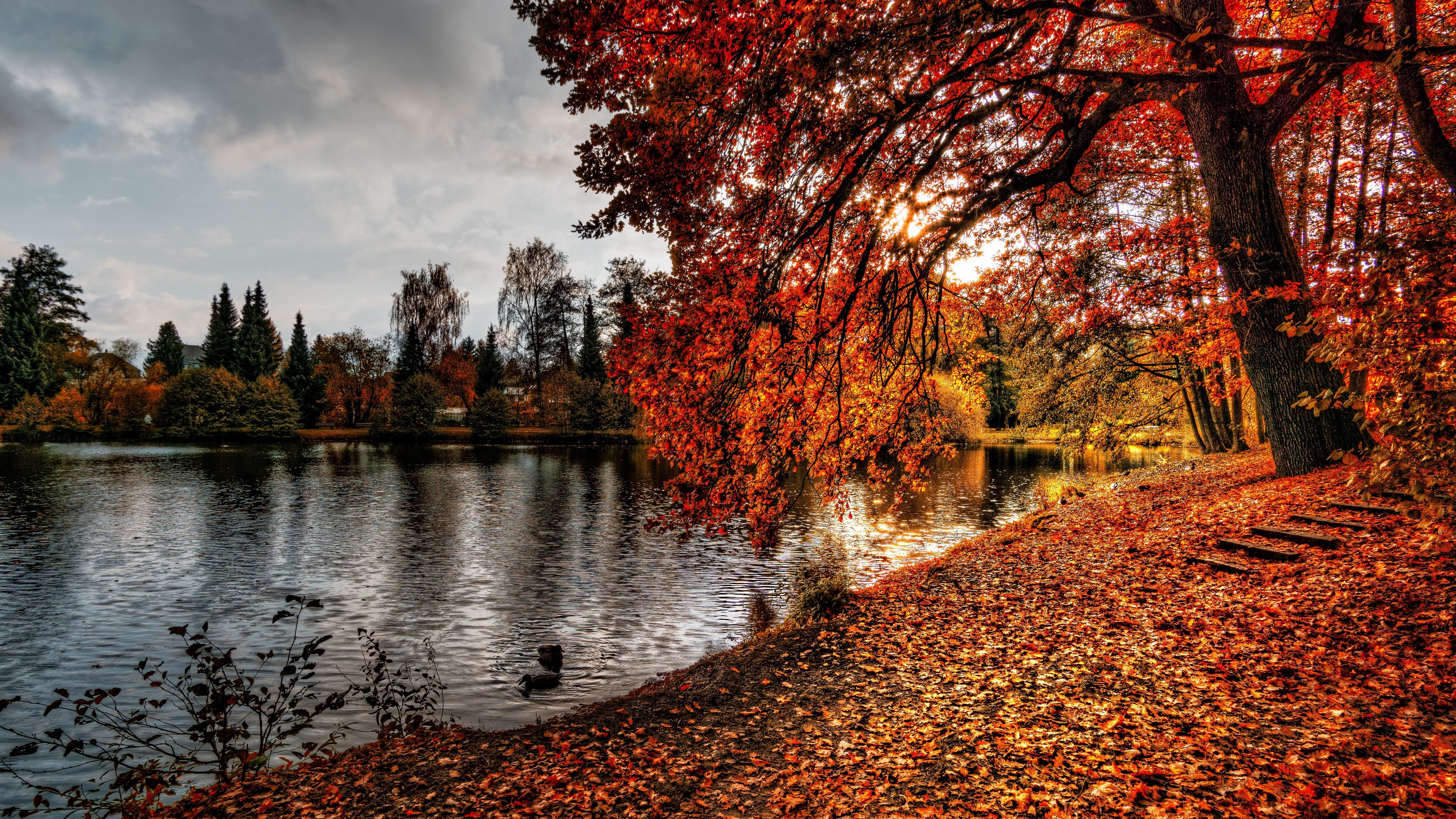 Download wallpaper 3840x2160 autumn, park, foliage, lake 4k uhd 16:9 HD background