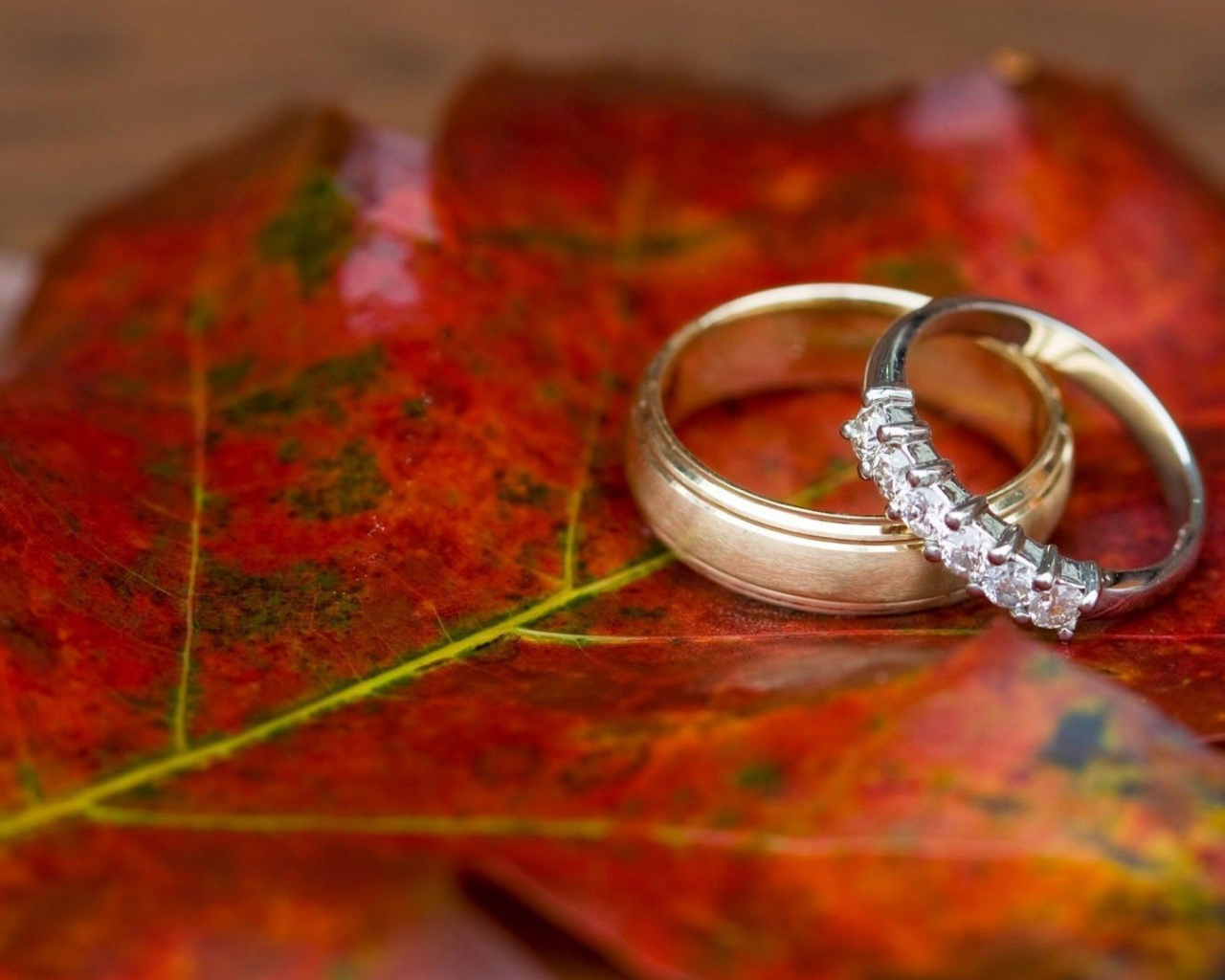 Free download Wedding rings wallpaper 1216766 [1920x1080] for your Desktop, Mobile & Tablet. Explore Wedding Ring Wallpaper. Wedding Background Wallpaper Free, Wedding Desktop Wallpaper, Diamond Wallpaper for Desktop