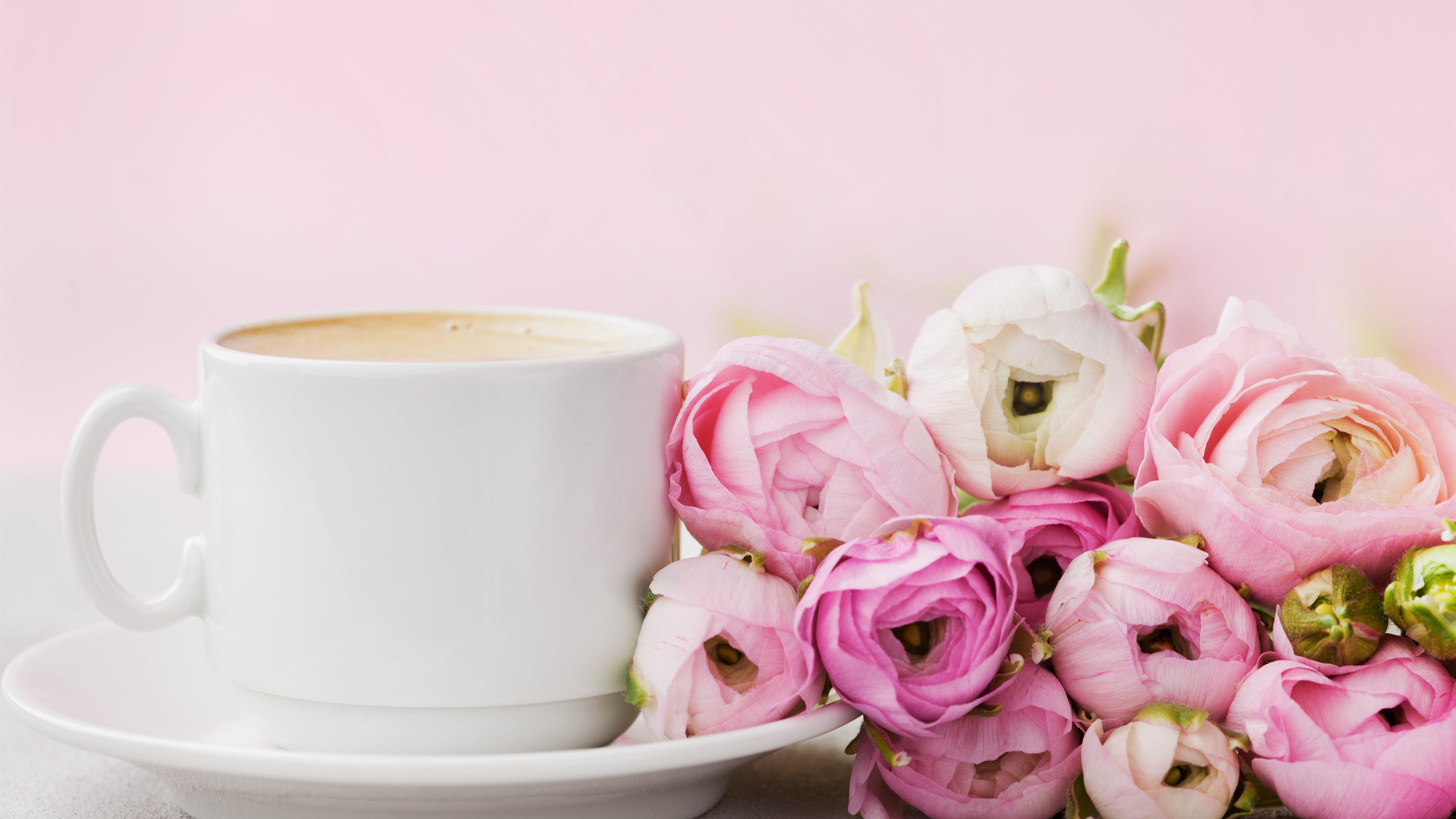 Wallpaper Some pink roses, one cup coffee 5120x2880 UHD 5K Picture, Image