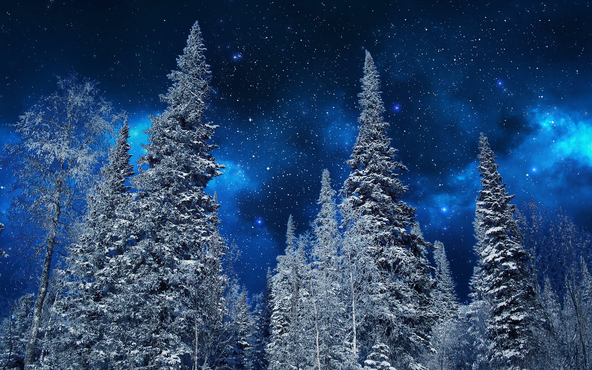 Winter Nigh Wallpapers - Wallpaper Cave