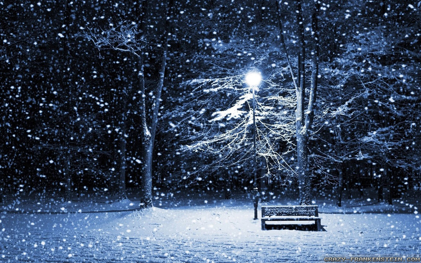 Winter Night wallpaperx900