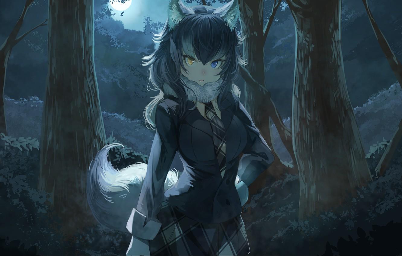 Wolf Anime Girl Wallpaper Free Wolf Anime Girl Background