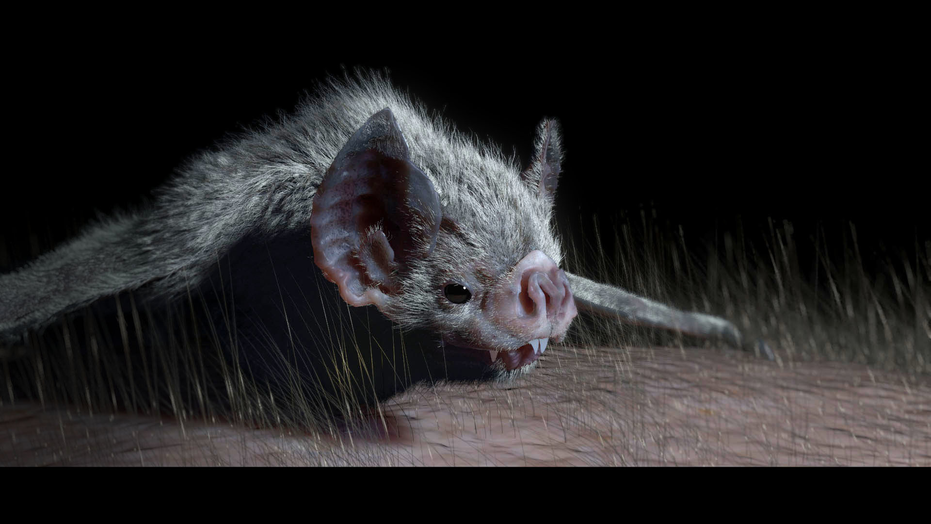 Vampire Bat, Stephen Goodson