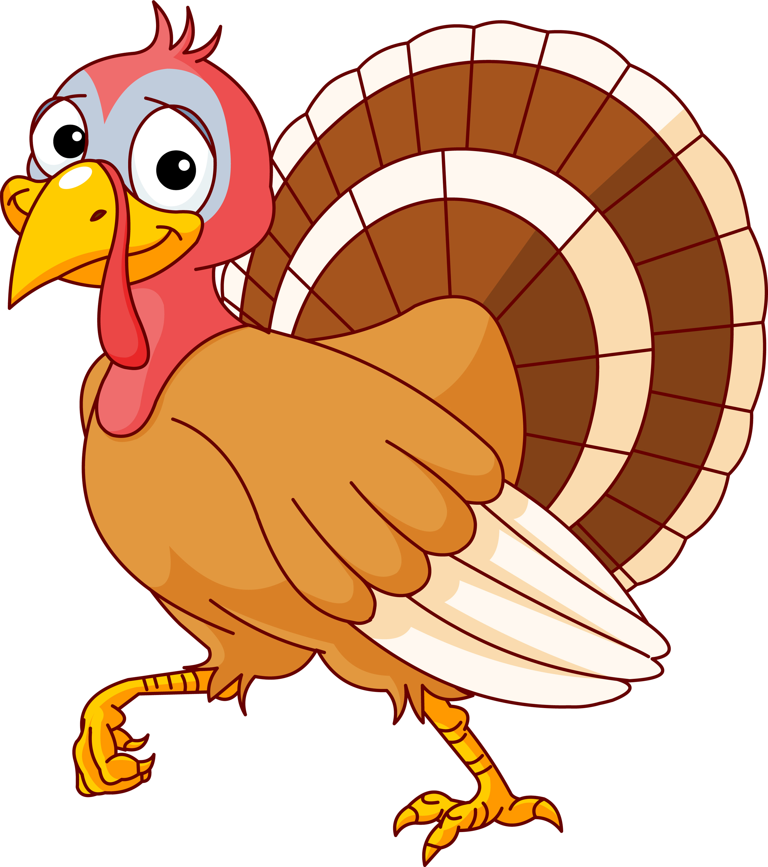 Thanksgiving Turkey^ HD Image & Wallpaper for