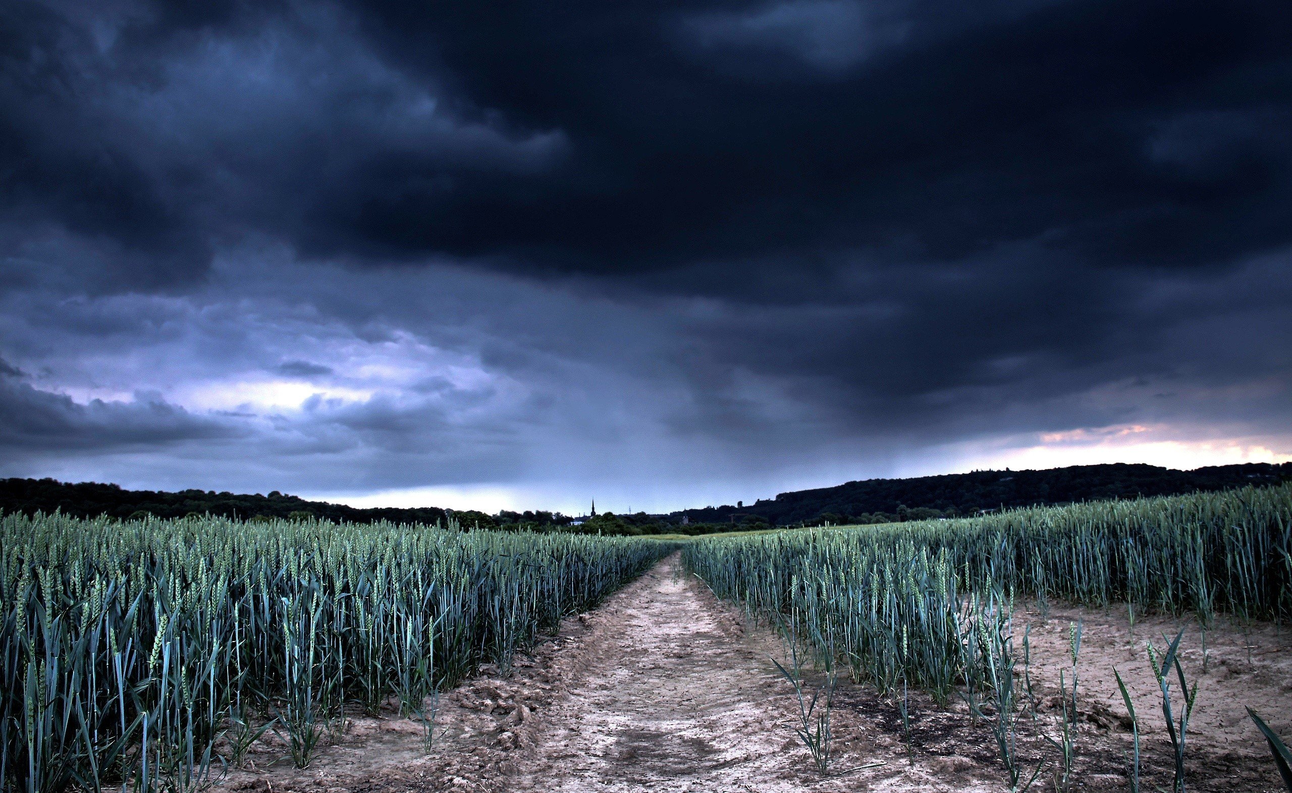 bad, clouds, dark, houses, sky, trees, weather 4k wallpaper