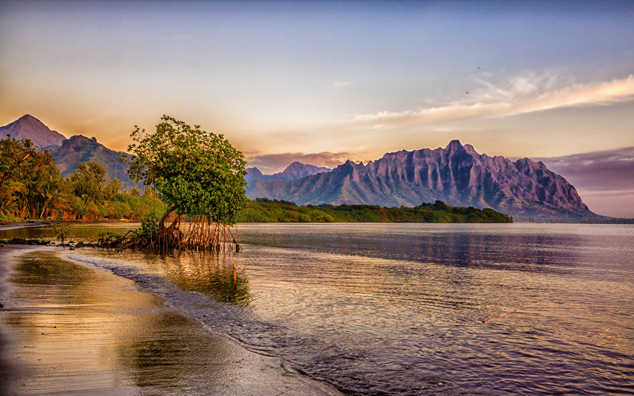 Desktop Wallpaper Hawaii USA Nature Mountains Tropics Coast Trees