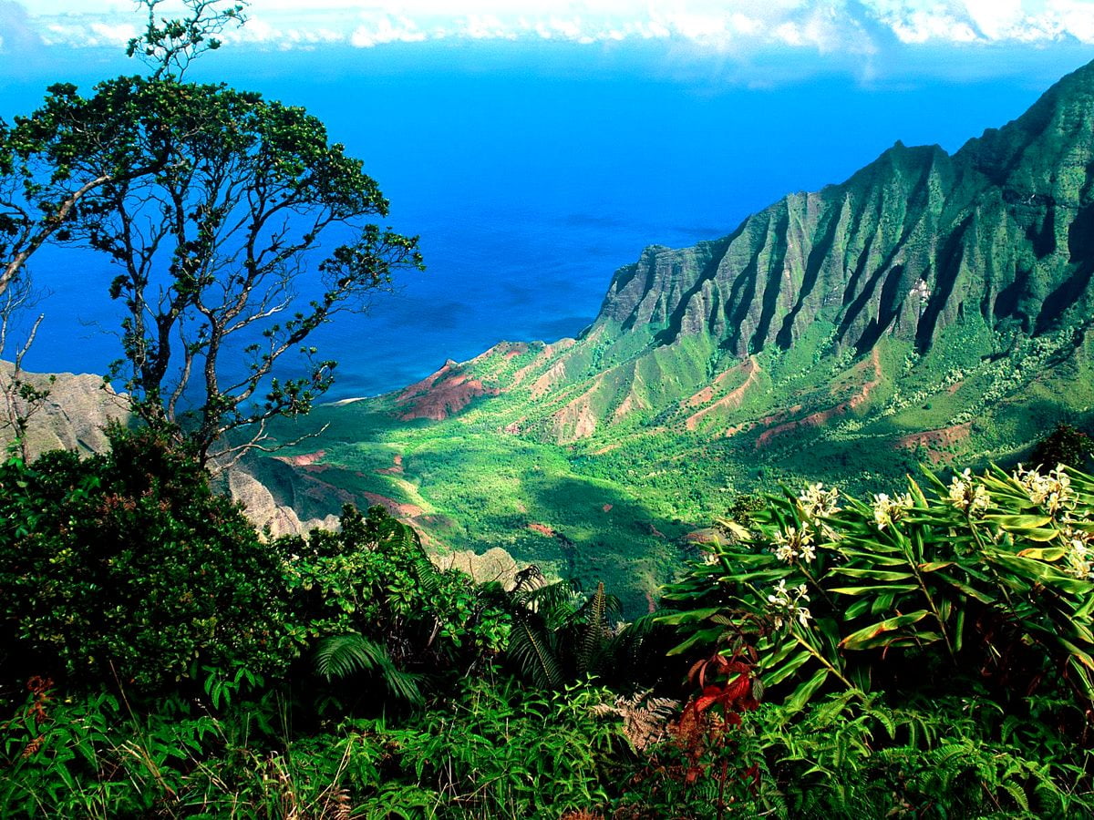 Background photo Landscapes, Nā Pali Coast State Wilderness Park, Mountains. Best Free Download image