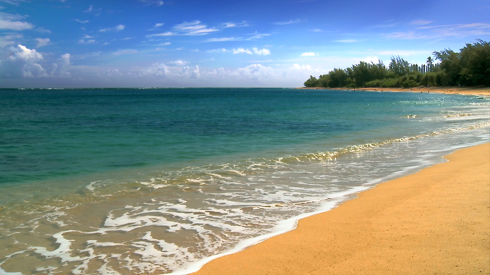 Free Wallpaper Hawaii Beach Scenes