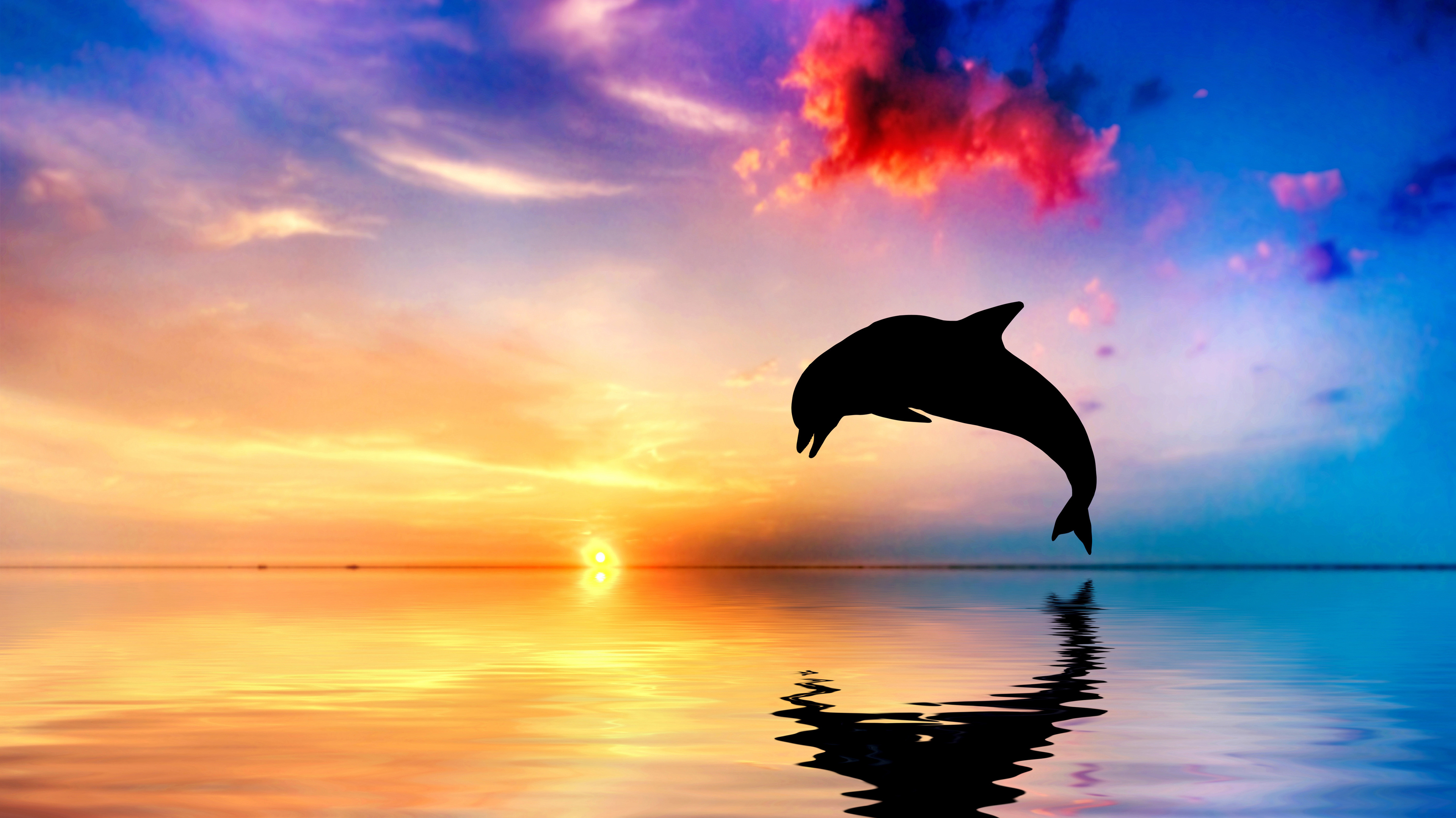 Wallpaper 4k Dolphin Jumping Out Of Water Sunset View 4k Wallpaper