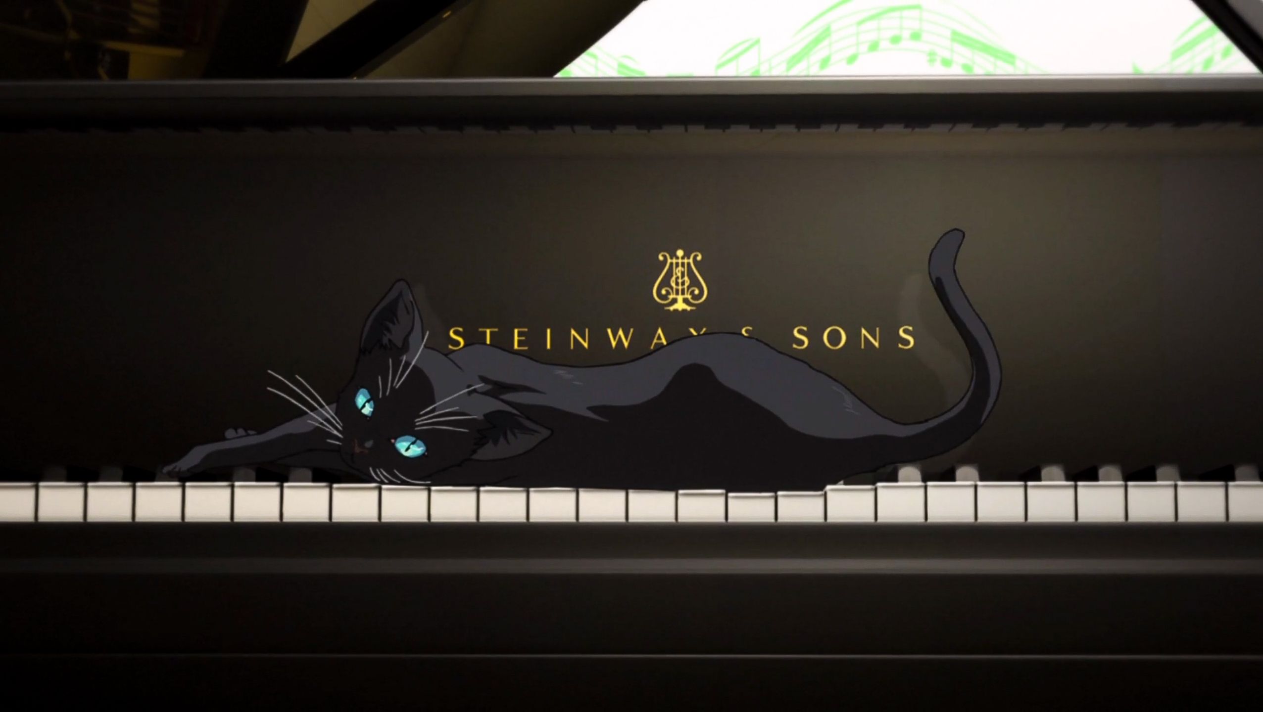 Your Lie In April Black Cat Wallpapers - Wallpaper Cave