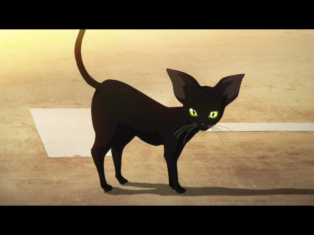 Black Cats In Anime