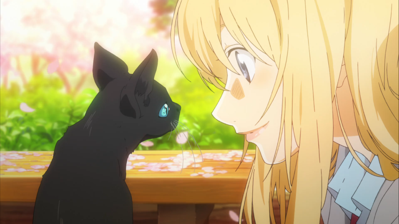 Symbolism In Your Lie In April Anime Blog