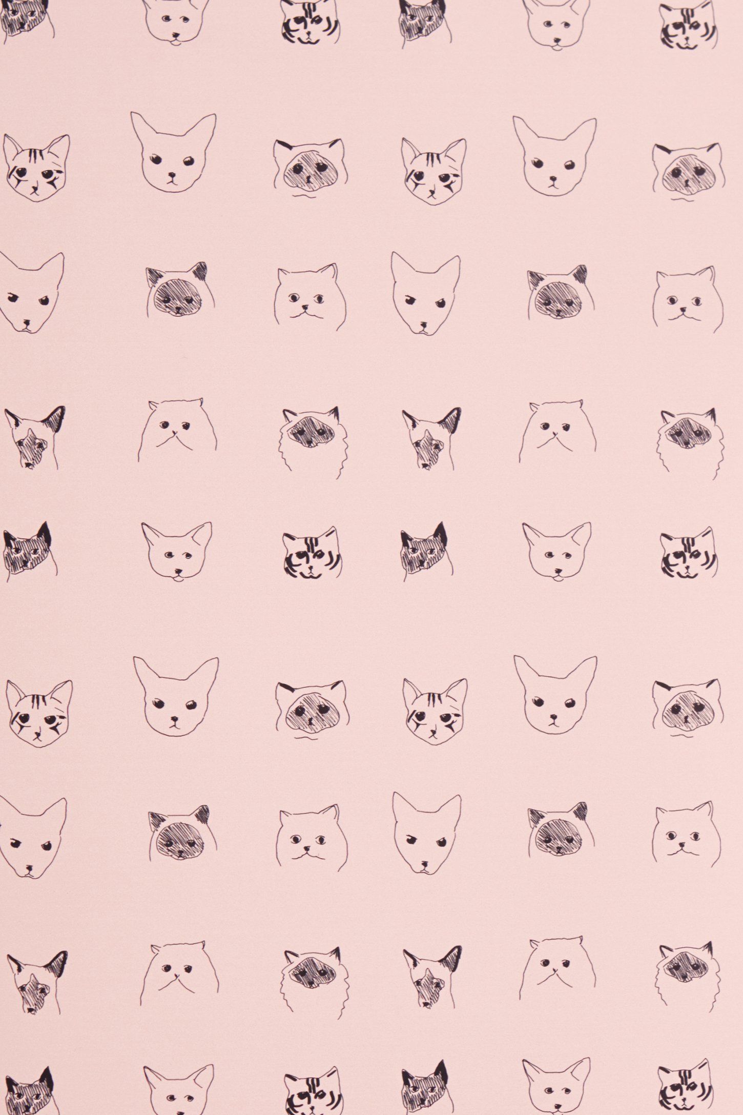 Cats Wallpaper. Cat wallpaper, Cat pattern, Pattern